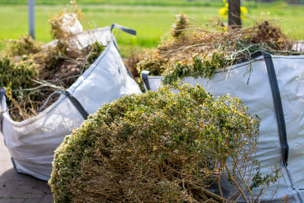  Sanborn, IA Junk Removal Pros